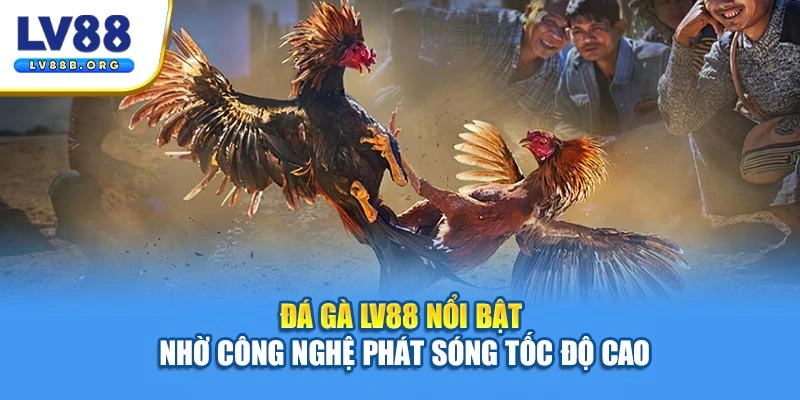 Đá gà LV88 nổi bật nhờ công nghệ phát sóng tốc độ cao